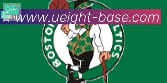 U8国际合作伙伴