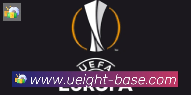 U8国际合作伙伴