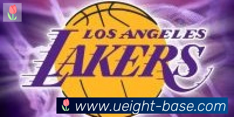 U8国际合作伙伴