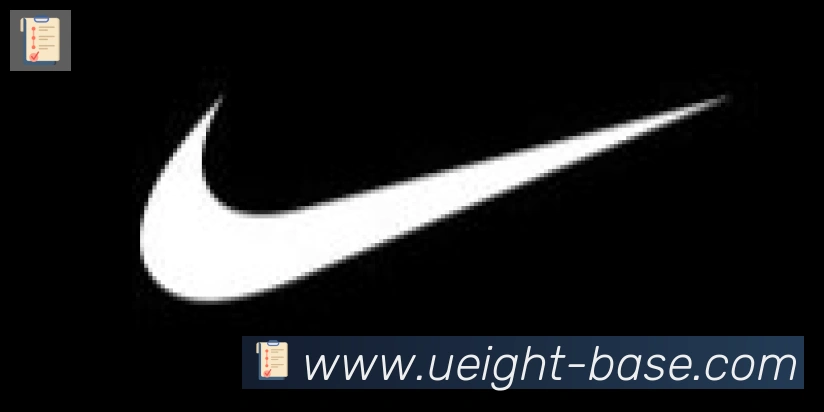 U8国际合作伙伴